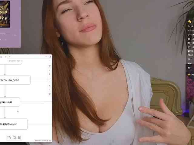 avolood webcam