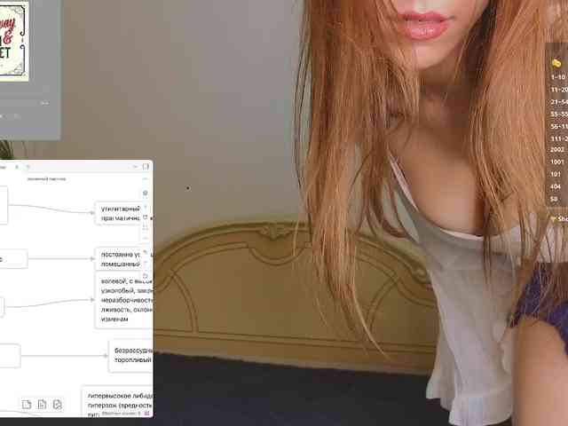 avolood webcam