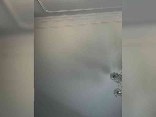 avolood webcam