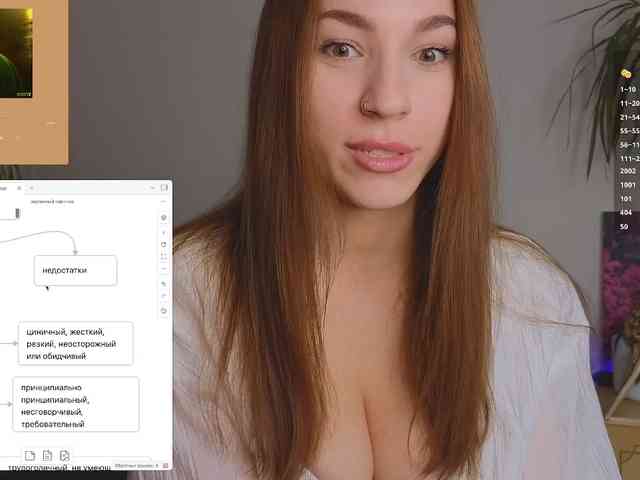 avolood webcam