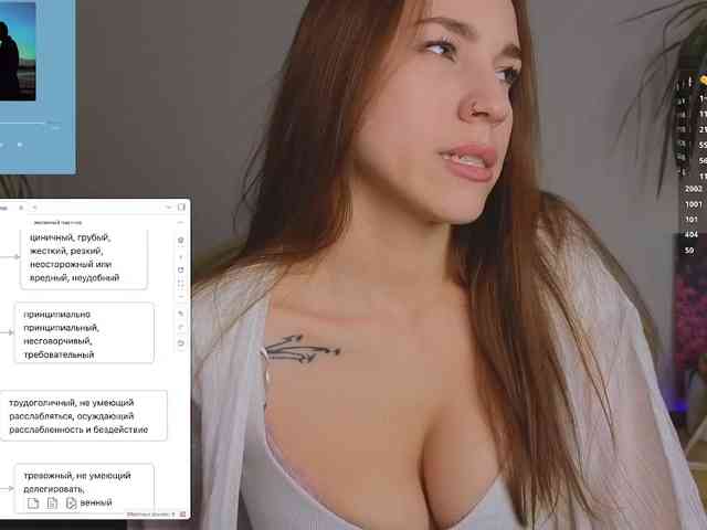 avolood webcam