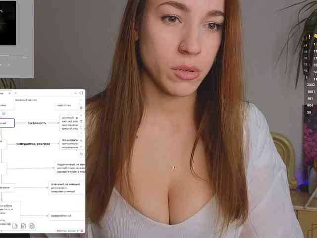 avolood webcam