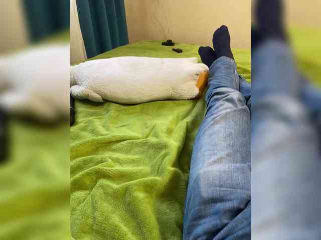 -Breid-1 Live Webcam on BongaCams