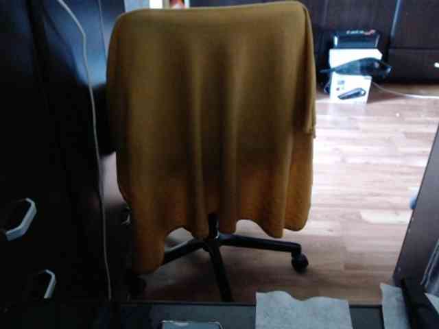 kristineexxx webcam