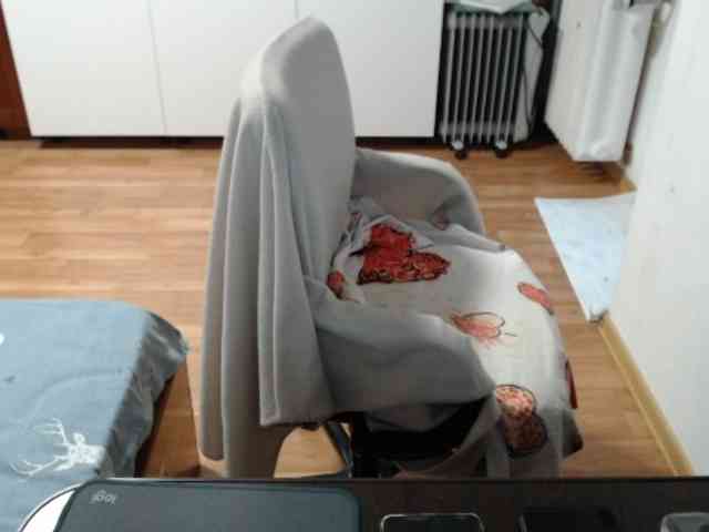 kristineexxx webcam