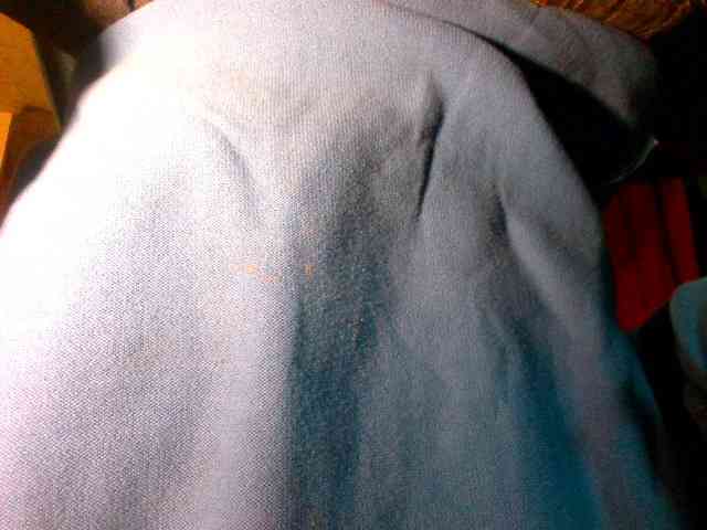 SexyForYou13 SexyForYou13