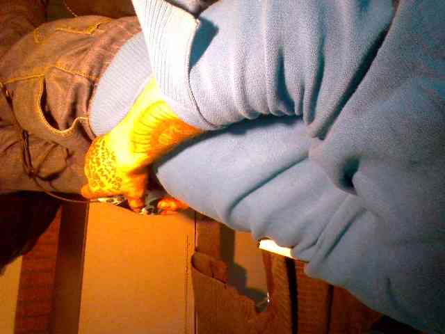 SexyForYou13 SexyForYou13