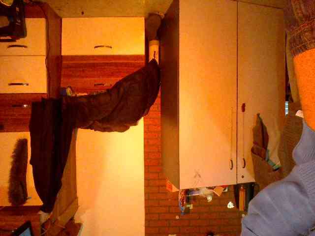 SexyForYou13 SexyForYou13