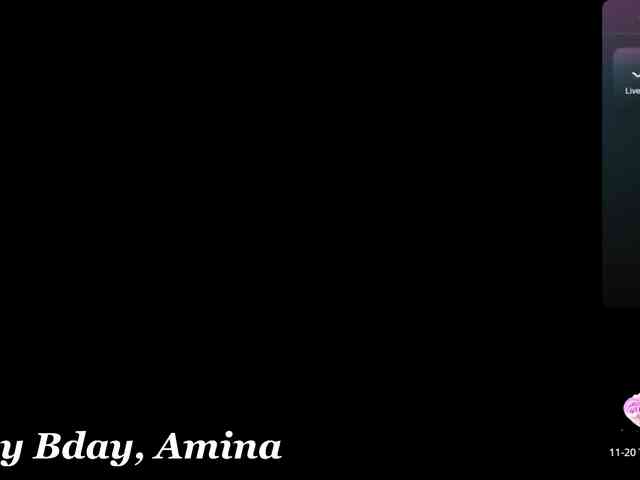 Amina-Key webcam