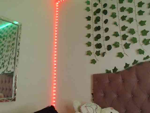 LINDA599 webcam