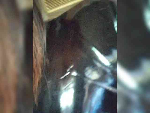 Drochu_kak_hochu_ webcam