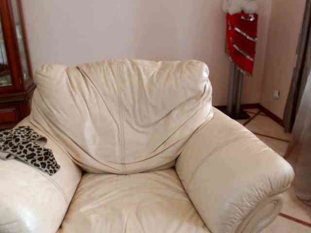 Karina8571 Karina8571