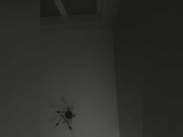 marsandvenera's BongaCams show and profile