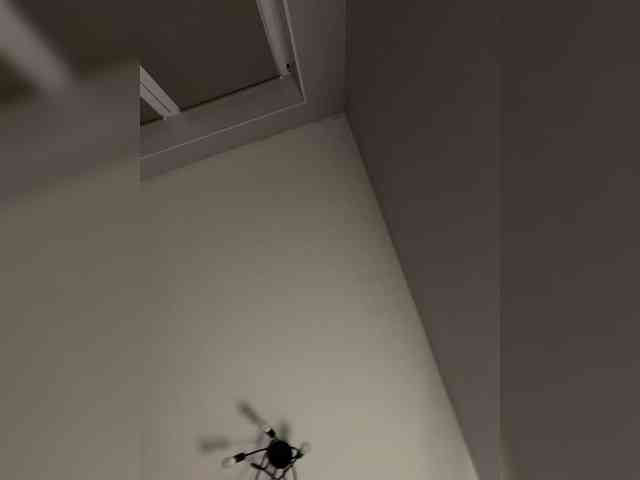 marsandvenera marsandvenera