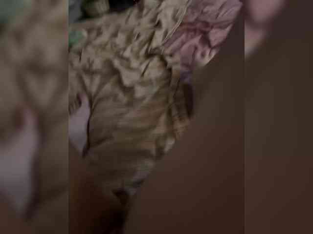 marsandvenera marsandvenera