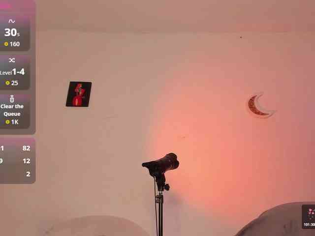 BellaXtar webcam