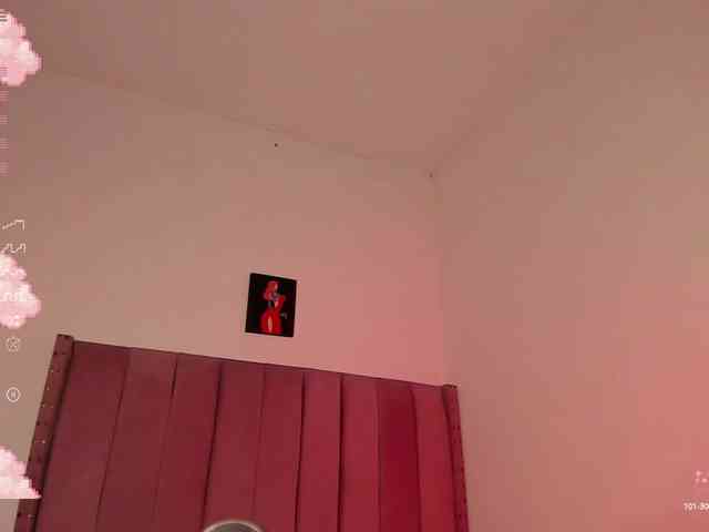 BellaXtar webcam