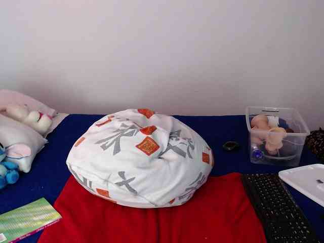 Lizhot2305 Lizhot2305