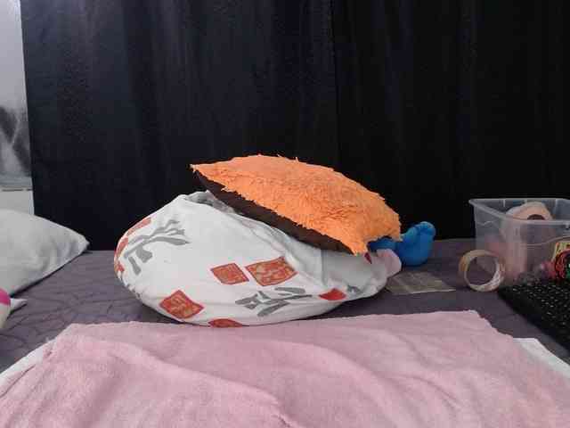 Lizhot2305 webcam
