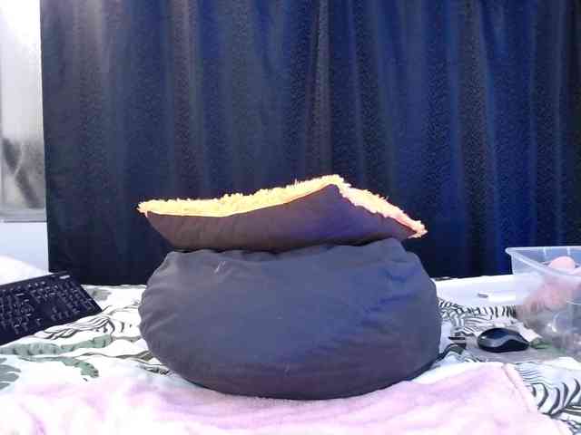 Lizhot2305 Lizhot2305