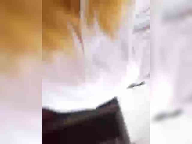 Kimmmmis webcam