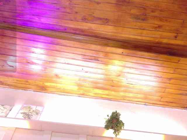 sofia-ebony sofia-ebony