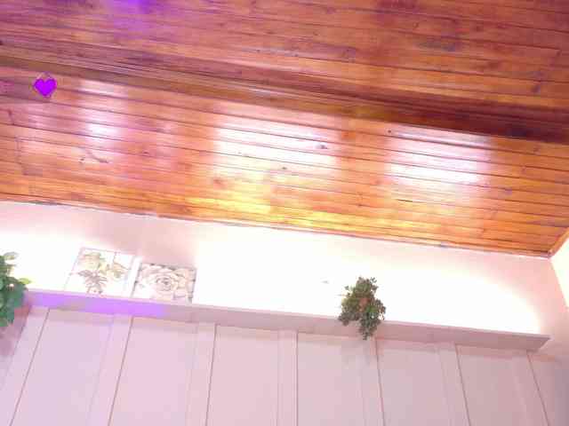 sofia-ebony sofia-ebony