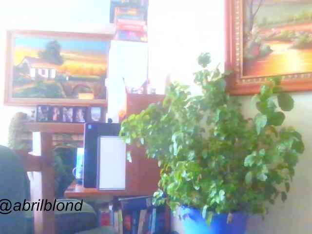 Abrilblond webcam