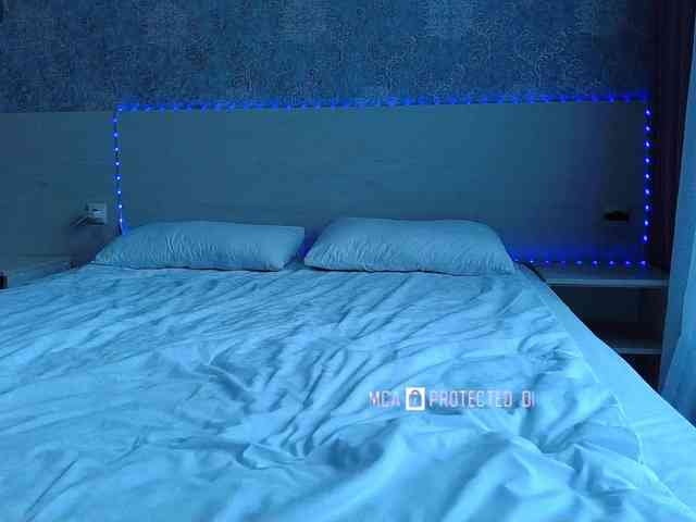 Catsy-Love- Live Webcam on BongaCams