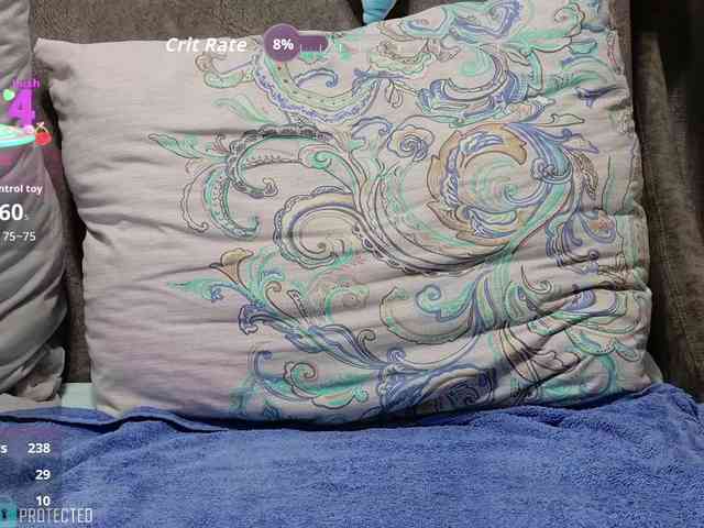 Catsy-Love- live show