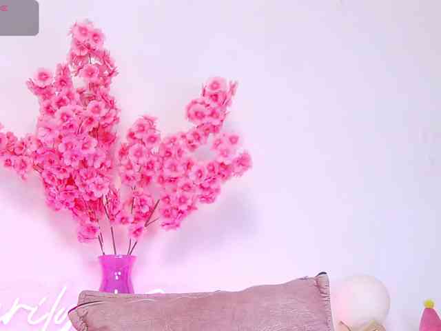 MarilynStone MarilynStone