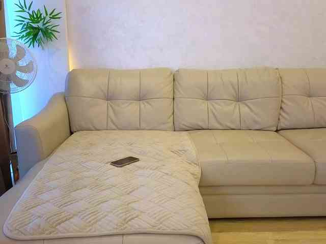 RabbitsCouple webcam