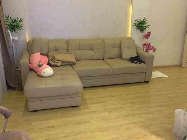 RabbitsCouple RabbitsCouple