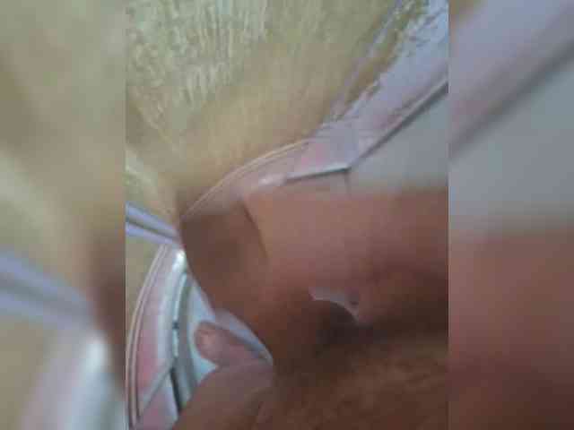 Termenator21 Termenator21