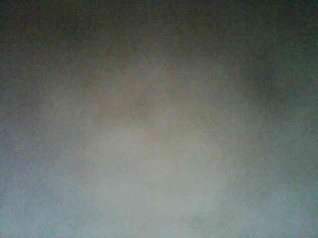 Termenator21 Termenator21