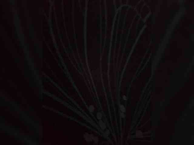 Termenator21 Termenator21