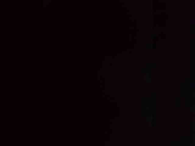 Termenator21 Termenator21