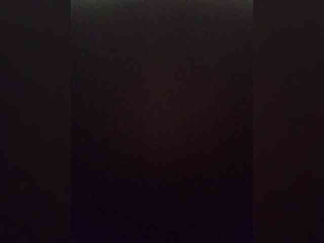 Termenator21 Termenator21