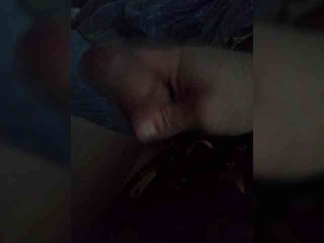 Termenator21 Termenator21