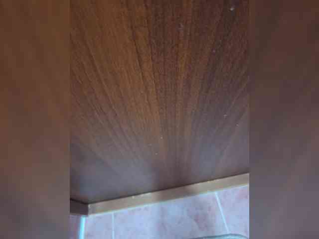 Termenator21 Termenator21