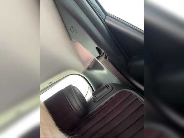 Preview of ___lovensesgirl___