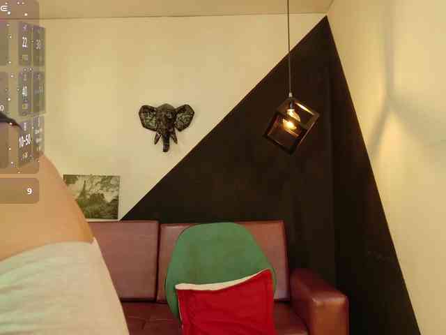 Perla-Campbell webcam