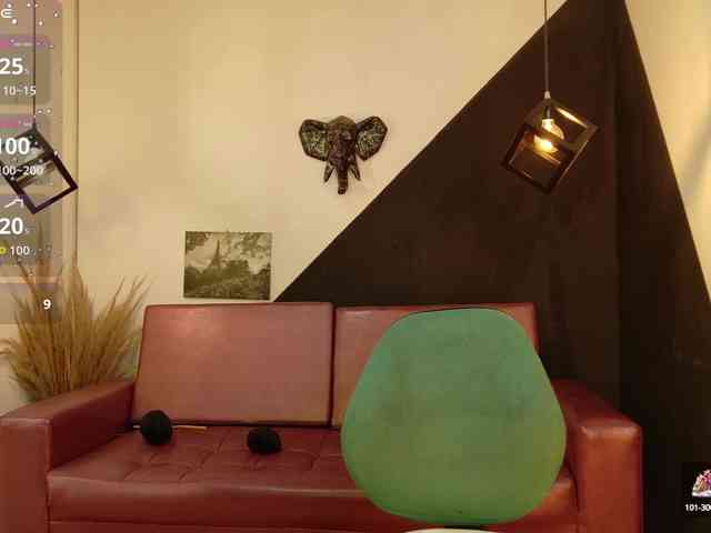 Perla-Campbell webcam
