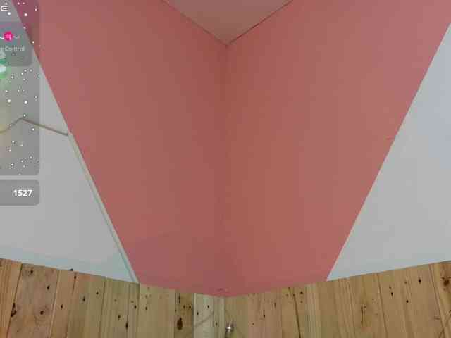 Perla-Campbell webcam
