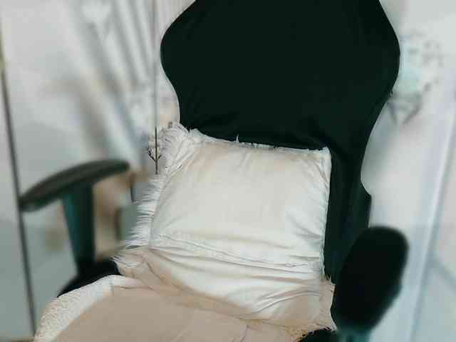 Lisa_ webcam