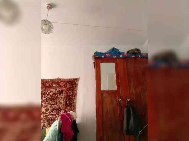 KONFETKAA-1 webcam