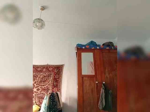 KONFETKAA-1 webcam