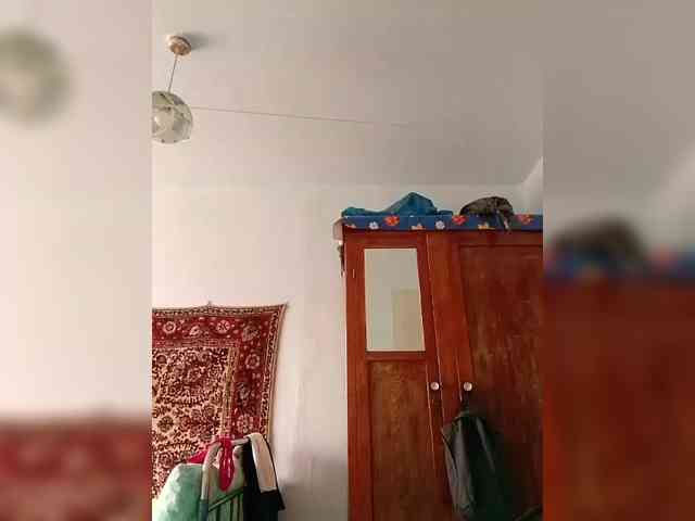 KONFETKAA-1 webcam