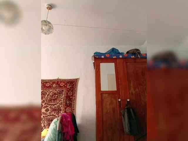 KONFETKAA-1 webcam