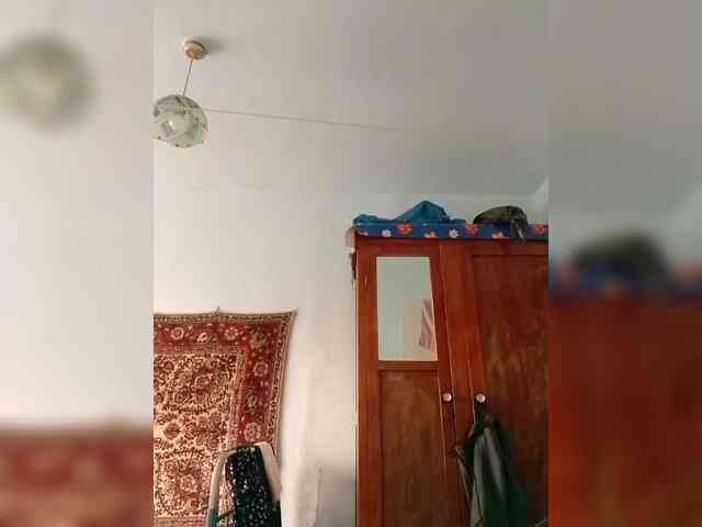 KONFETKAA-1 webcam